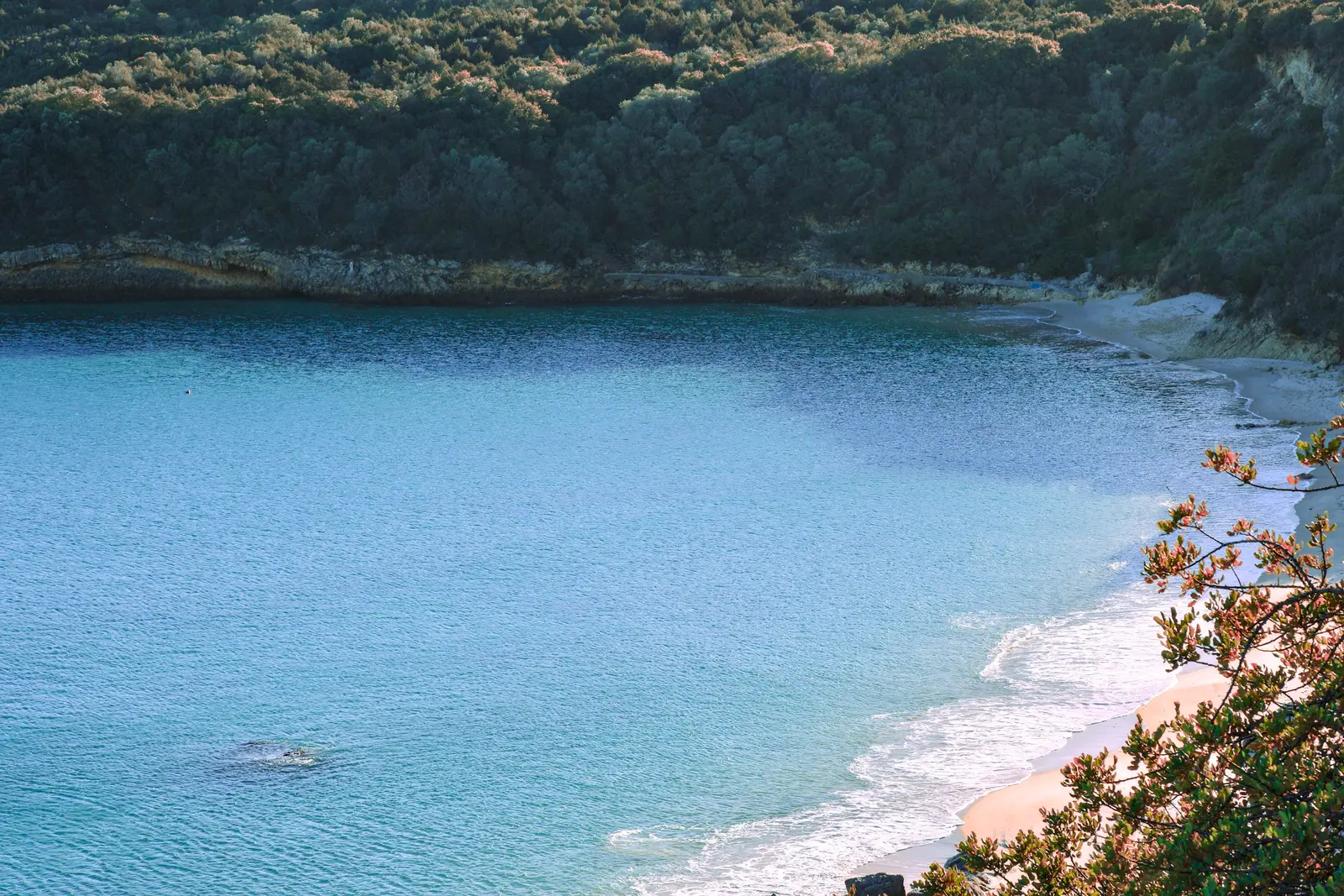 Comporta