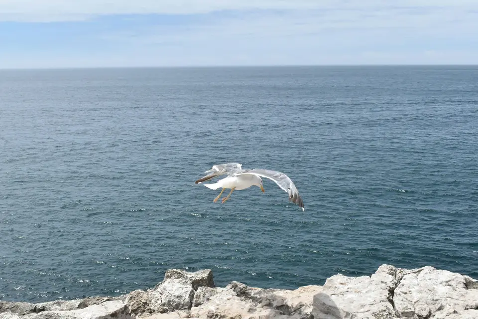 Cascais — 1