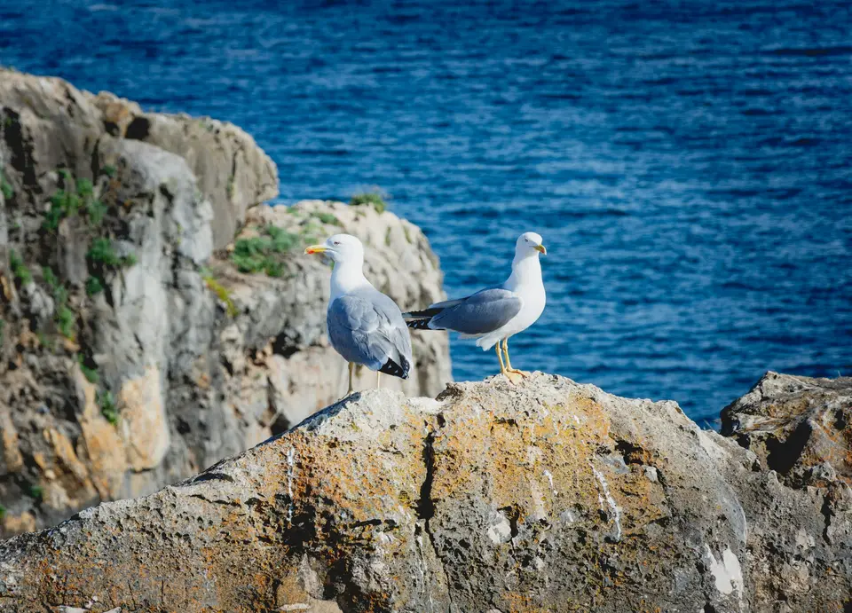 Cascais — 4