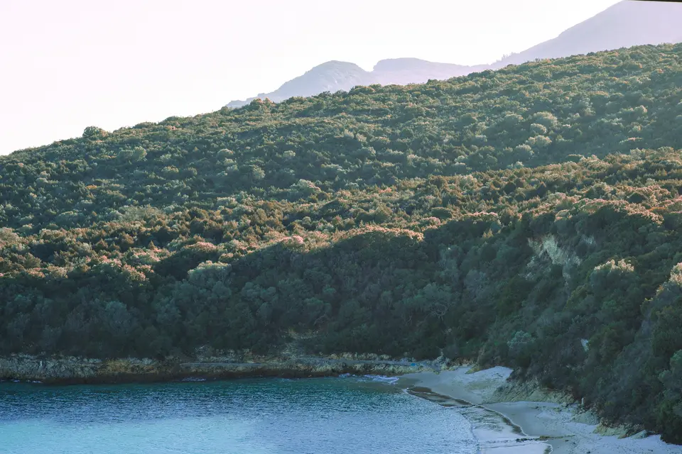 Comporta — 1