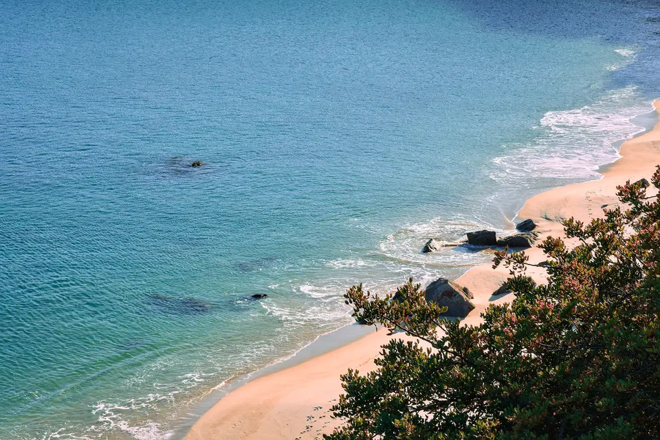 Comporta — 2