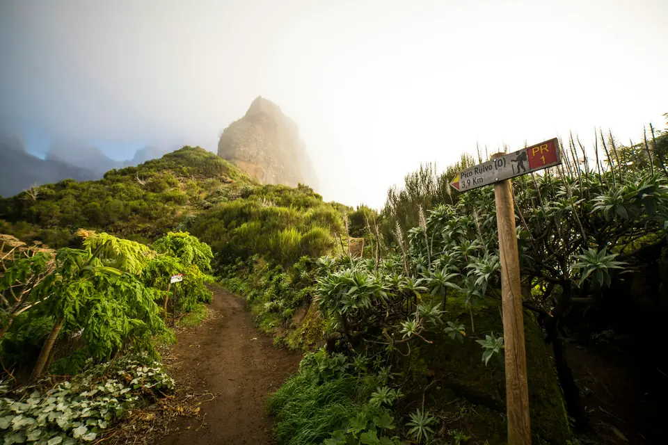 Madeira — 1