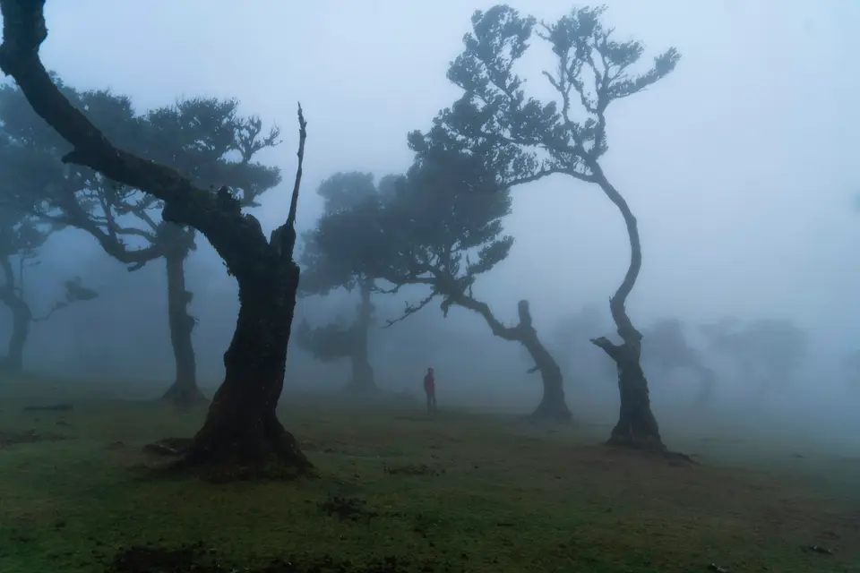 Madeira — 4